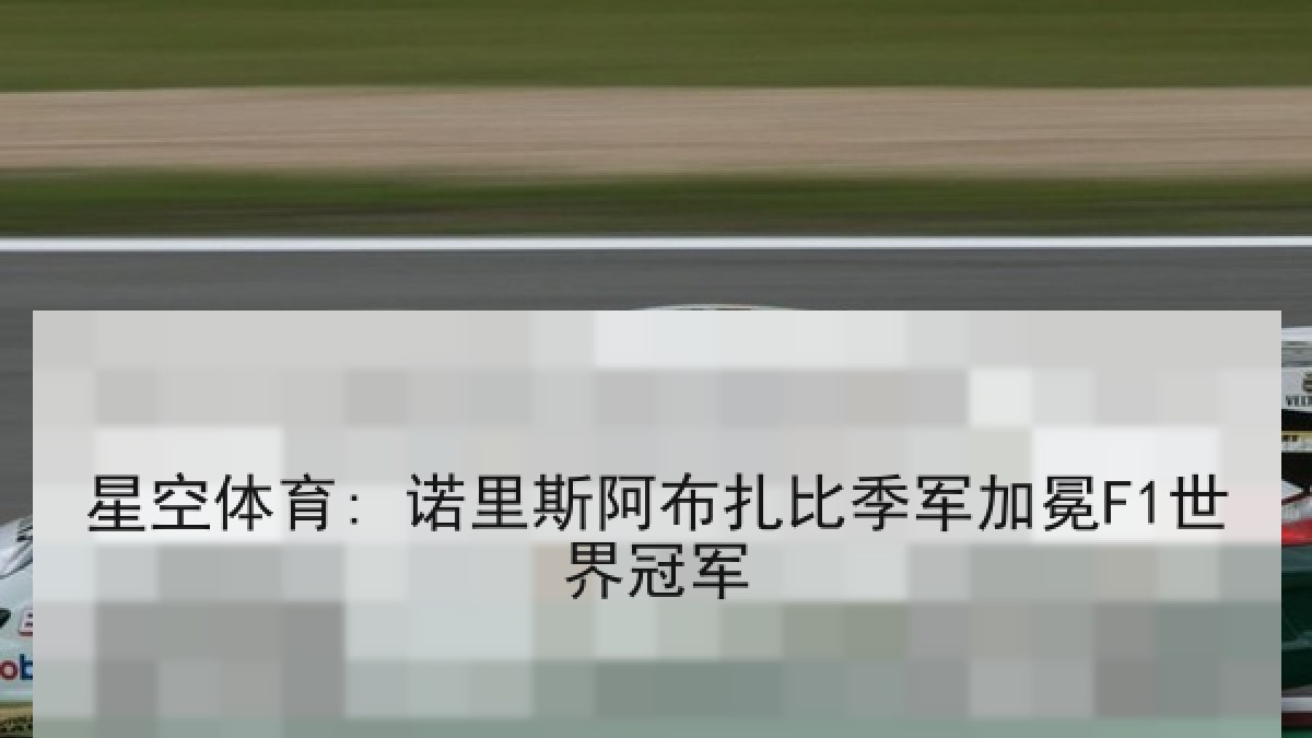 星空体育: 诺里斯阿布扎比季军加冕F1世界冠军